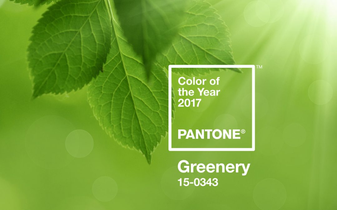 Die Farbe des Jahres 2017 – Greenery