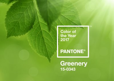 pantone-farbe-des-jahres-2017
